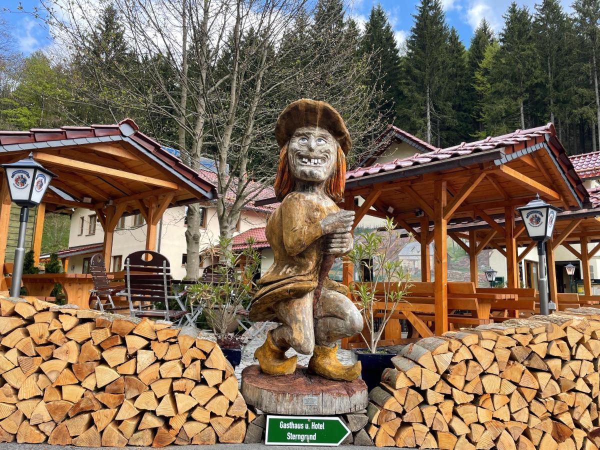Hotel & Gasthaus Sterngrund Zella-Mehlis Luaran gambar