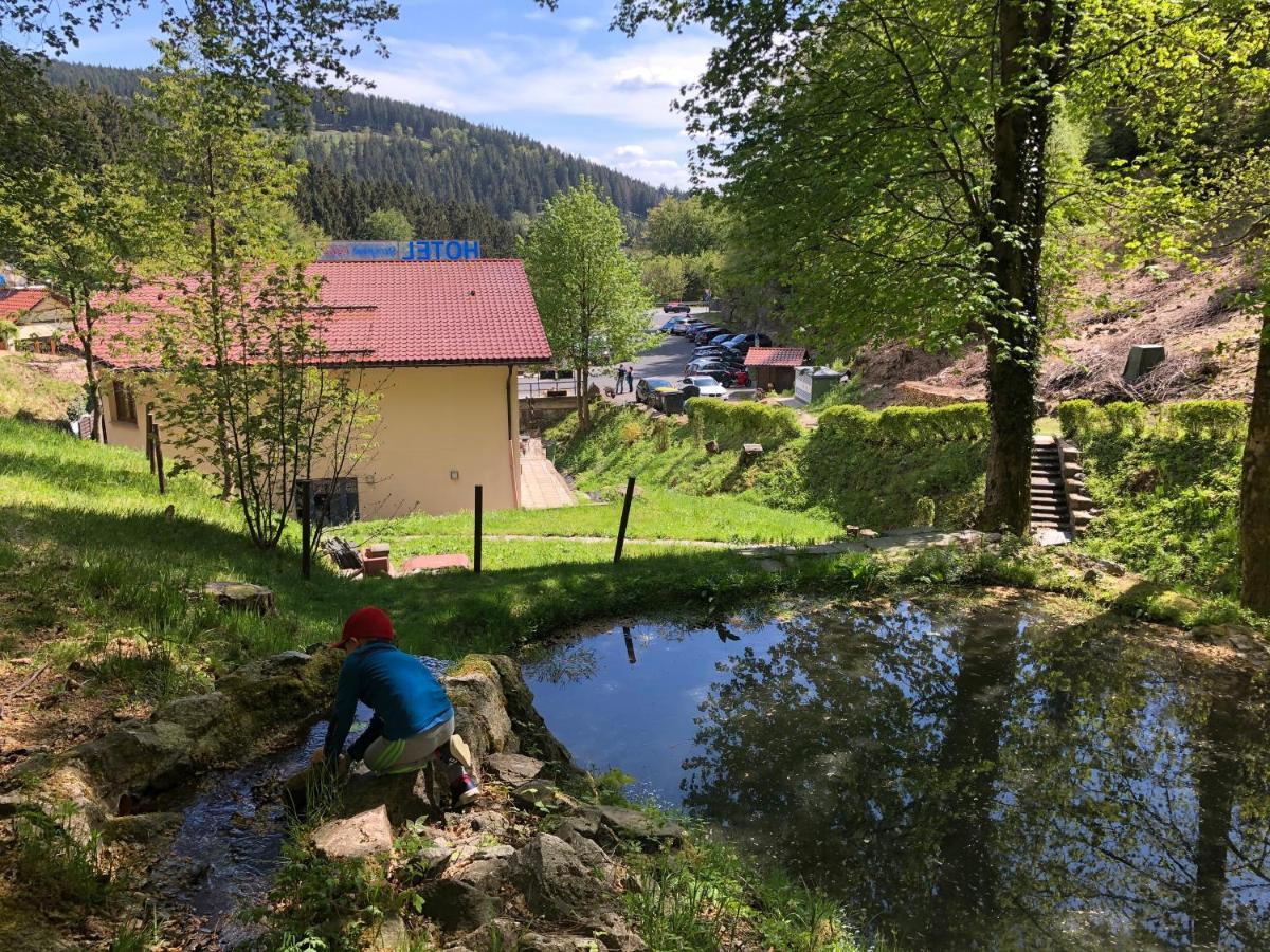 Hotel & Gasthaus Sterngrund Zella-Mehlis Luaran gambar