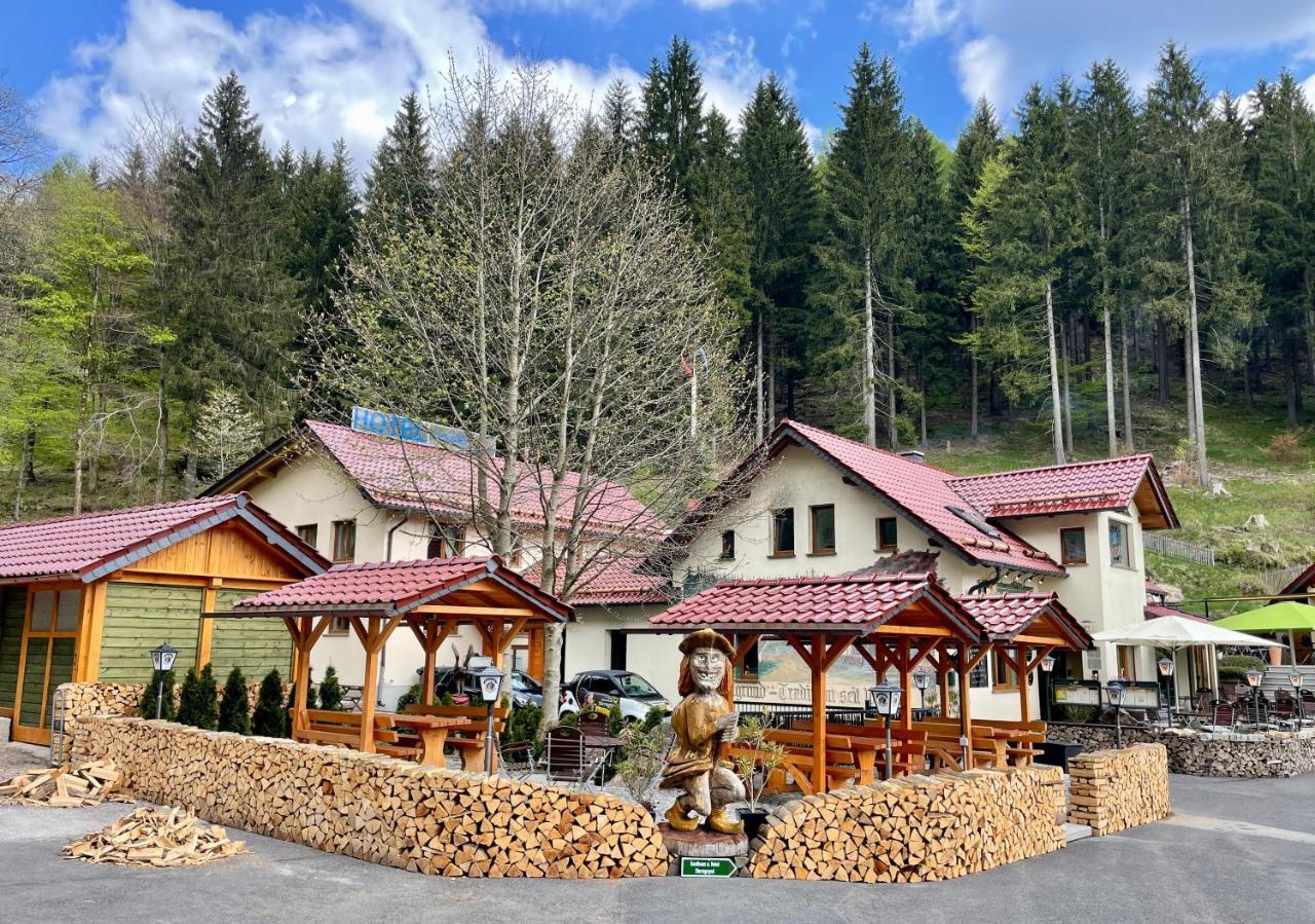 Hotel & Gasthaus Sterngrund Zella-Mehlis Luaran gambar
