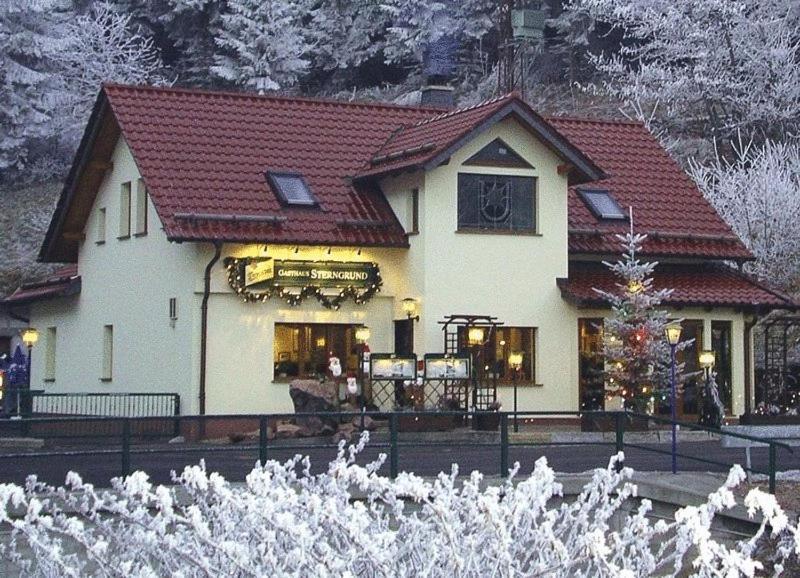 Hotel & Gasthaus Sterngrund Zella-Mehlis Luaran gambar